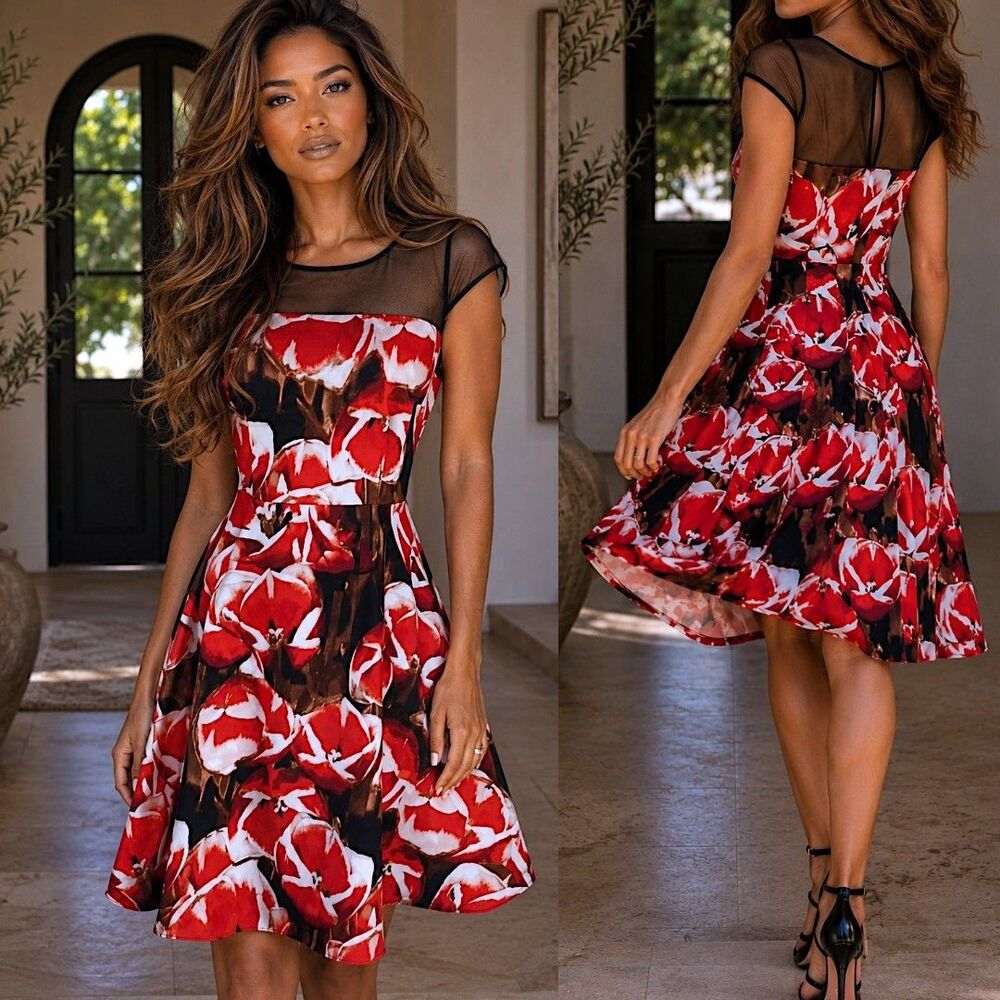 Retro Romance Sz 8 Floral Fit Flare Dress Sheer Mesh Red Black Cocktail Elegance